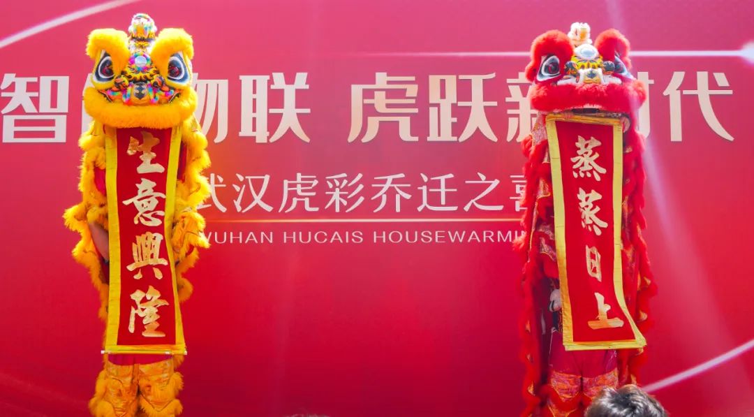 武汉虎彩3.jpg